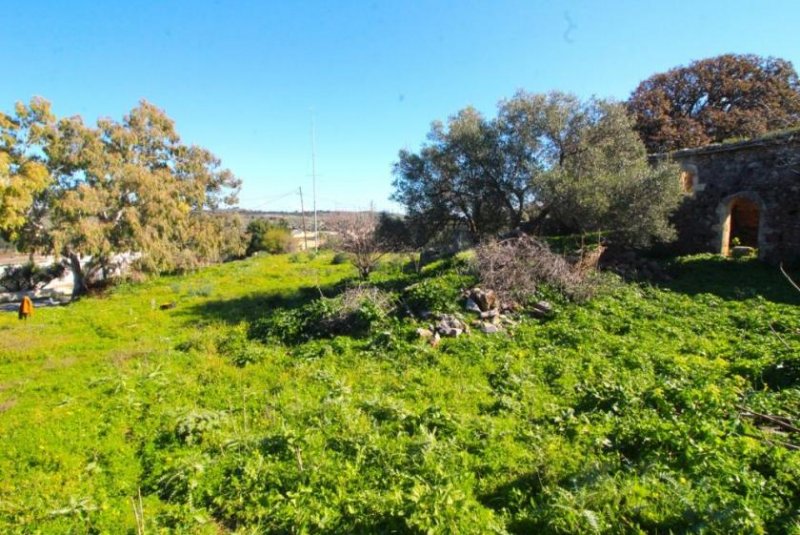 Sellia Chania Einzigartiges Grundstück mit Meerblick zum Verkauf in Sellia Grundstück kaufen